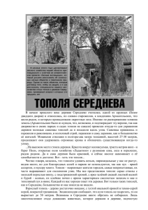 Тополя Середнева - Департамент лесного хозяйства