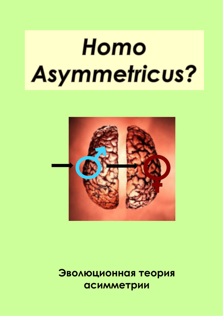 Доклад по теме Структурная асимметрия мозга у музыкантов