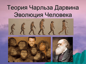 Теория Чарльза Дарвина Эволюция Человека