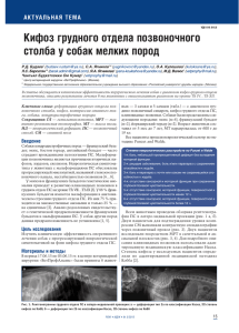 Кифоз грудного отдела позвоночного столба у собак мелких пород