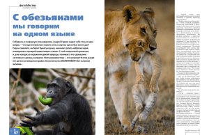 С обезьянами - Мир диких животных Андрея Гудкова