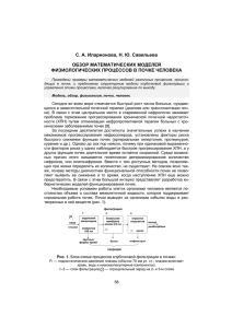 Обзор математических моделей физиологических процессов в