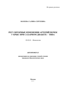 регуляторные изменения артерий почек у крыс при сахарном