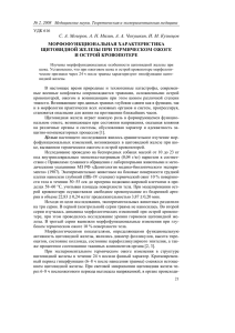 С. А. Мозеров, А. Н. Мялин, А. А. Чекушкин, И.... МОРФОФУНКЦИОНАЛЬНАЯ ХАРАКТЕРИСТИКА ЩИТОВИДНОЙ ЖЕЛЕЗЫ ПРИ ТЕРМИЧЕСКОМ ОЖОГЕ И ОСТРОЙ КРОВОПОТЕРЕ