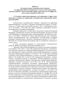 ДОКЛАД об осуществлении муниципального контроля на территории Новоплатнировского сельского поселения Ленин-