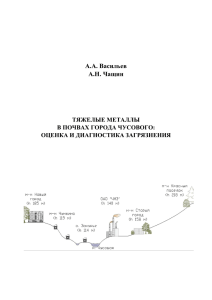 Тяжелые металлы в почвах города Чусового