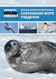 A mArine reserve fOr the rOss seA