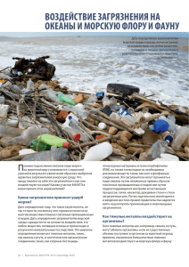 воздействие загрязнения на океаны и морскую флору и фауну