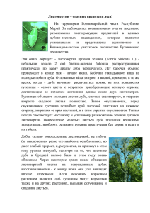 Листовертки – опасные вредители леса! На территории
