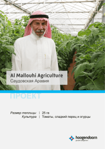 ПРОЕКТ Al Mallouhi Agriculture