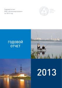 2013 ГОДОВОЙ ОТЧЕТ Годовой отчет