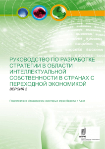 руководство по разработке стратегии в области