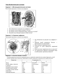 Мочевыделение