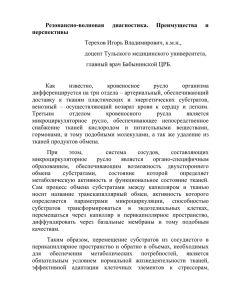 Как известно, кровеносное русло организма дифференцируется