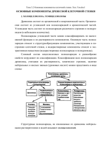 Тема 3.2 Основные компоненты клеточной стенки