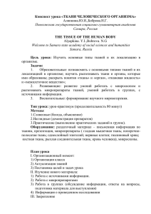 Конспект урока «ТКАНИ ЧЕЛОВЕЧЕСКОГО ОРГАНИЗМА» Аляпкина.Ю.И