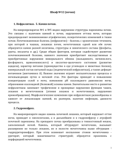 Шкаф №12 (почки)  1. Нефролитиаз.  5. Камни почки.