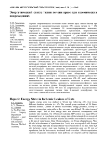 Энергетический статус ткани печени крыс при ишемических