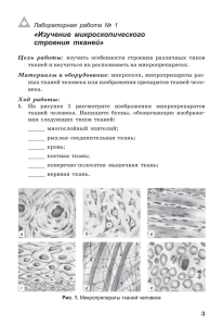 «Изучение микроскопического строения тканей»