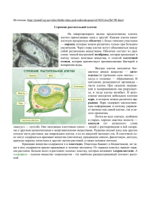 1. Строение растительной клетки