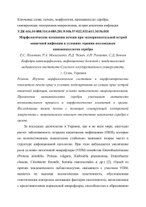 Ключевые слова: печень, морфология, наноаквахелат серебра