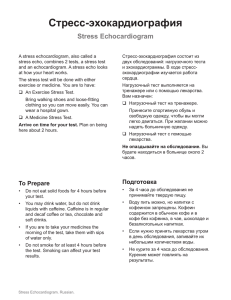Эхокардиограмма под нагрузкой - Health Information Translations
