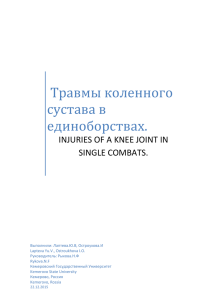 Травмы коленного сустава в единоборствах.