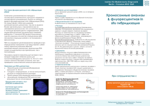 Хромосомные анализы & флуоресцентная in situ гибридизация
