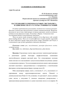 наследование размеров флаговых листьев риса в зависимости