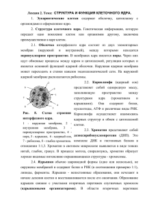 Лекция 2. Тема