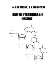 ОБМЕН НУКЛЕИНОВЫХ КИСЛОТ