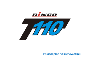 Инструкция по эксплуатации Irbis Dingo 110