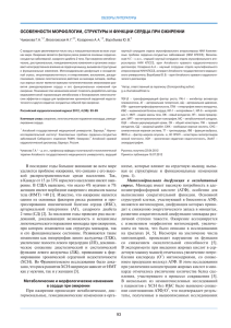 Полный текст в PDF - Российский кардиологический журнал