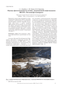 Оценка фитотоксичности почвы, загрязненной нефтешламом