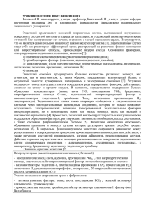 Функция эндотелия: фокус на оксид азота Беловол А.Н., член