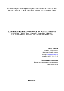 влияние внешних факторов на репаративную