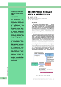 БИОЛОГИЧЕСКАЯ ФИКСАЦИЯ АЗОТА И АЗОТФИКСАТОРЫ