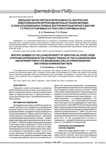 УДЕЛЬНОЕ ЧИСЛО КЛЕТОК И ИНТЕНСИВНОСТЬ ЭКСПРЕССИИ ЭНДОТЕЛИАЛЬНОЙ НИТРОКСИДСИНТАЗЫ В ТКАНЯХ ЖЕЛУДКА