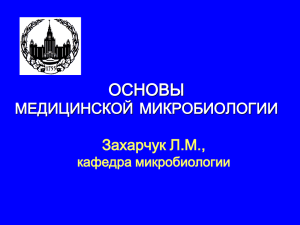 основы медицинской микробиологии 2