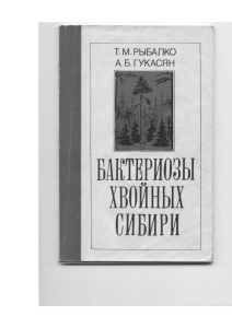 Бактериозы хвойных Сибири - Российский центр защиты леса