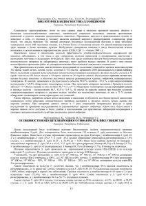 стр. 11-51, (534 Кб, *