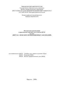 Иркутск – 2008г.