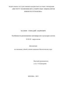 Особенности размножения хантавирусов в культурах клеток