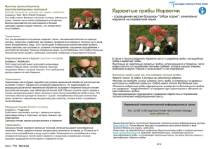 Ядовитые грибы Норвегии