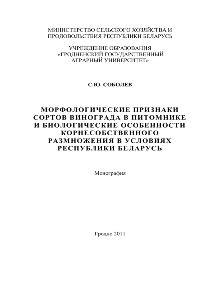 Реферат: Разработка информационной технологии в ЗАО Гориславцев и К