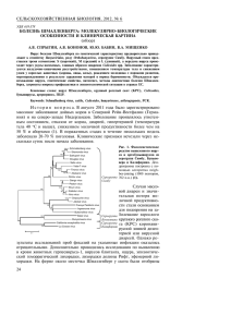 ÑÅËÜÑÊÎÕÎÇßÉÑÒÂÅÍÍÀß ÁÈÎËÎÃÈß, 2012, ¹ 6  ÁÎËÅÇÍÜ ØÌÀËËÅÍÁÅÐÃÀ: ÌÎËÅÊÓËßÐÍÎ-ÁÈÎËÎÃÈ×ÅÑÊÈÅ ÎÑÎÁÅÍÍÎÑÒÈ È ÊËÈÍÈ×ÅÑÊÀß ÊÀÐÒÈÍÀ