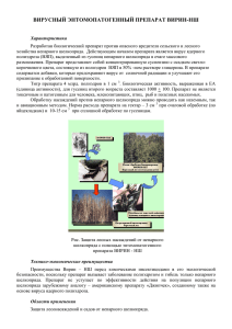 Дипломная работа: Оптимизация сроков посева зерновых культур в степной зоне Южного Урала на примере ООО 