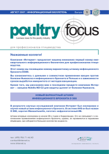 Poultry Focus N1 - MSD Animal Health