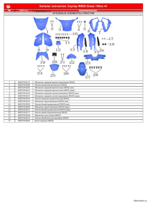 Каталог запчастей. Скутер IRBIS Grace 150cc 4т irbismotors.ru
