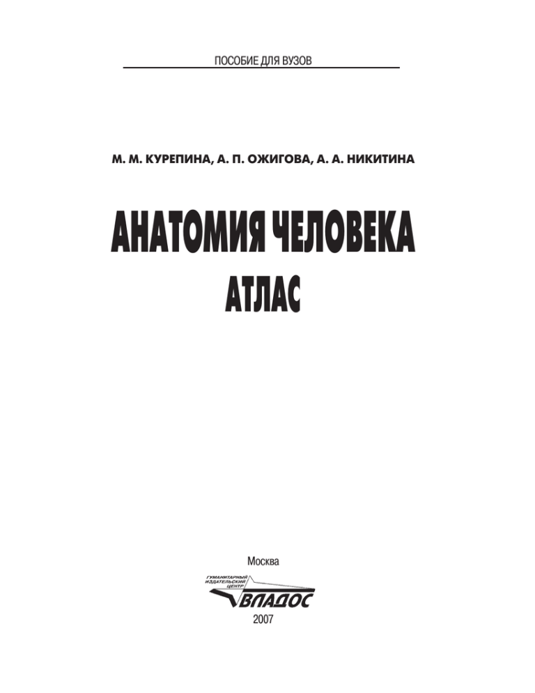 Учеб пособие для вузов м. Никитина анатомия.